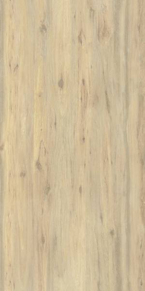 Boreal Sand