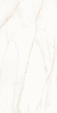 Nos prestations sur le secteur de près de Lodève 34700